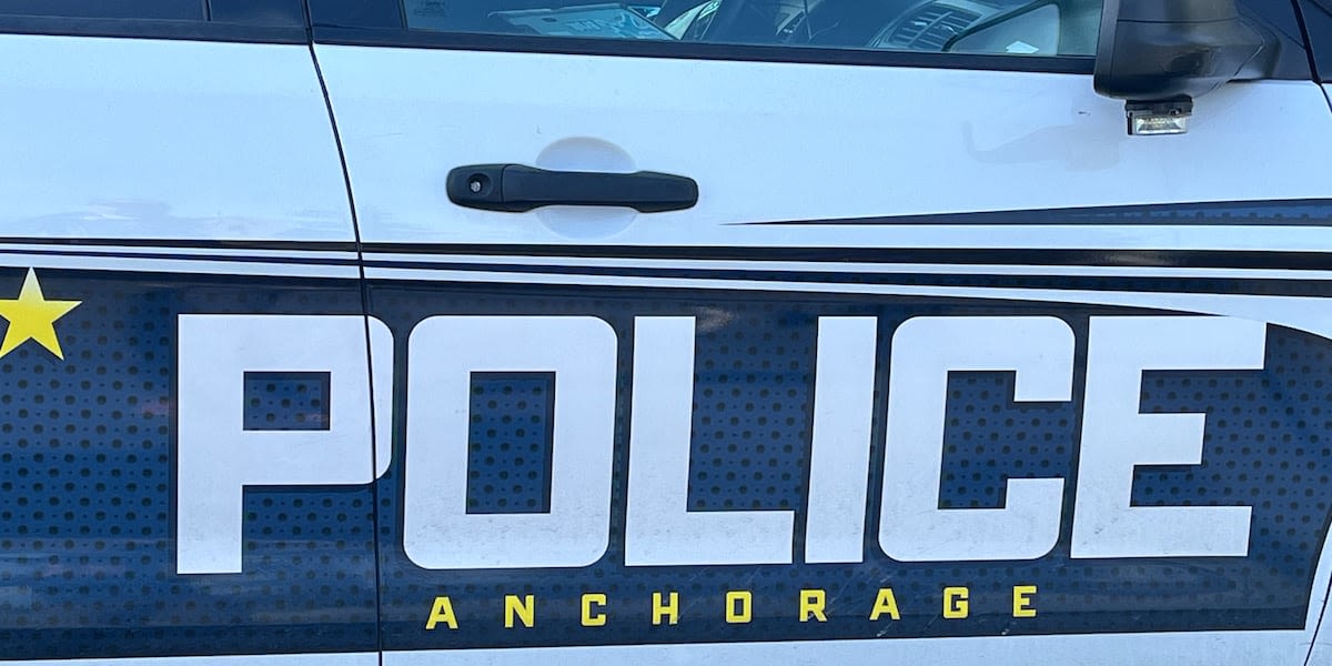 When should an officer shoot? Expert weighs in after 5th Anchorage police shooting in 2 months