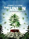 The Union: The Business Behind Getting High