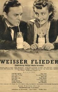 Weißer Flieder