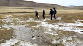 Hectáreas de cultivos de la región Arequipa son afectadas por las heladas (VIDEO)