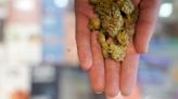 Highest cannabis use found among lower-income, less-educated in new survey