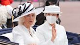 The Surprising Reason Japan's Empress Wore a Face Mask During Horse-Drawn Carriage Ride with British Royals