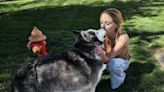 Leigh's Lost and Found: Lost Husky is finally reunited after missing for four years!