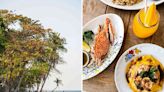 Hua Hin Is Thailand's Original Resort Town — and It Has Some Glamorous New Places to Eat and Stay