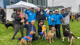 PHOTOS: KOIN 6 joins Vancouver Walk-Run for the Animals