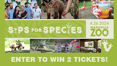 Watch to win Nashville Zoo’s Sips for Species Party tickets