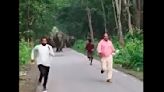 Watch: Selfie-seeking tourists run for lives from angry elephants