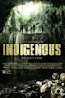 Indigenous (film)