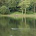 Yarrow Valley Country Park