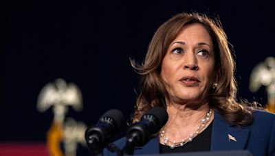 GOP ready to pounce on Harris policy pivots
