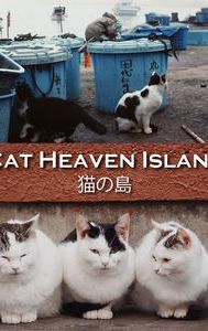 Cat Heaven Island