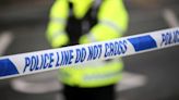 Three arrested after two men stabbed in fight