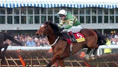 Hurdling great Istabraq dies aged 32 in Limerick