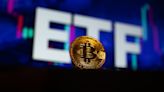 Bitcoin ETFs aren’t winning the hearts and minds of financial advisors