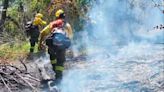 “Claramente fue intencional”: sigue activo el incendio en el parque Los Alerces y se complica el combate del fuego