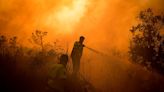 Al menos 50 muertos debido a la ola de incendios que afecta a la cuenca del Mediterráneo