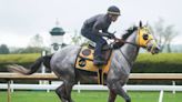 Want to ‘bet the gray’ in Kentucky Derby? Here’s your horse, plus other unique storylines.