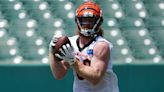 Bengals’ Hayden Hurst had wicked one-hand grab vs. Rams