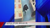 Apple Store theft suspects enter plea deal