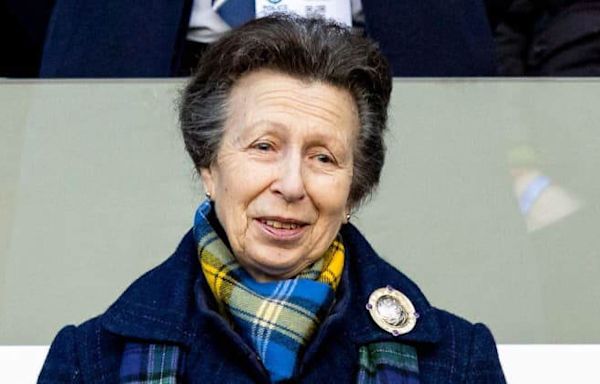 Princess Anne's Health Crisis: Tireless Royal's Engagements Canceled Again Due to Injury From Mysterious Horse 'Incident'