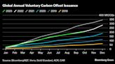 COP28 Holds Key to Global Carbon Market That Could Help Improve Offsets