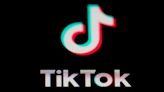 Could Germany be the first in Europe to ban TikTok? Lawmakers call for debate following US vote