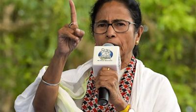 Cal HC restrains Mamata from making defamatory statement against Guv - ET LegalWorld