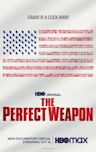 The Perfect Weapon (2020 film)