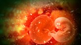 Could placenta-derived cells revolutionize age-related disease treatment?