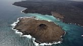 La Antártida, las Galápagos y más allá: cinco destinos fuera de lo común accesibles en crucero