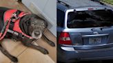 SUV with service dog inside stolen from Orlando hotel, deputies say