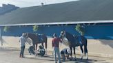 Horses must be healthy to race. This clinic makes sure their caretakers are, too.