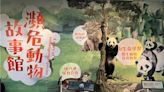 大象林旺標本師操刀 大熊貓「團團」重返瀕危動物故事館 - 生活