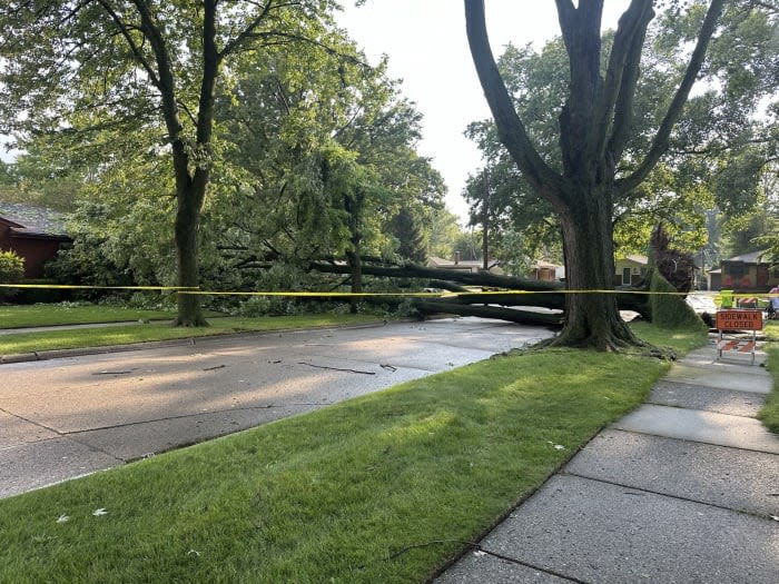 Severe weather causes widespread damage across Metro Detroit