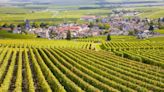 How to Find the Best Wines From Burgundy