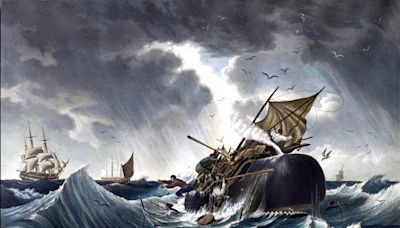 How whaling ventures in the 1800s shaped venture capital as we know it