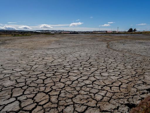 Día Mundial de la Lucha contra la Desertificación y Sequía: tres iniciativas para mejorar el uso del agua en Chile - La Tercera