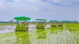 Birmanie : Un patron japonais de supermarchés arrêté pour des soupçons d’arrangements sur le prix du riz