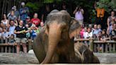 Free admission at the Cincinnati Zoo for military on Memorial Day