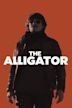 The Alligator