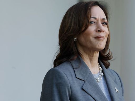 Harris picks up enough delegate support to win nomination on first full day of her campaign