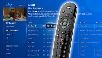 Sky viewers must check their TV now as over a dozen channels are removed TODAY