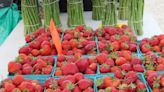 Baltimore County Farmers Market coming to the Maryland State Fairgrounds in June