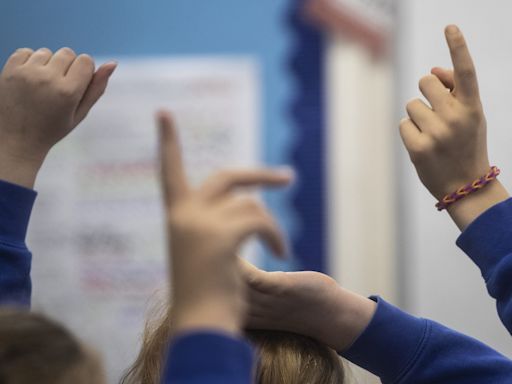 Government must reform system for children with educational needs, say councils