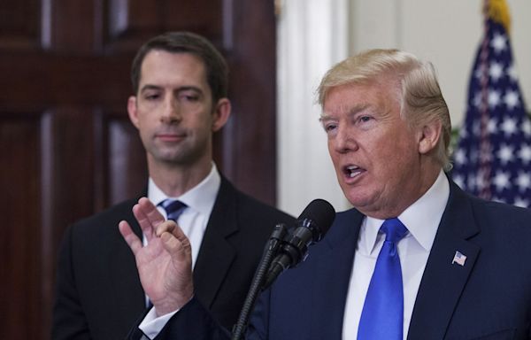 Trump running mate contender Sen. Tom Cotton called 'a workhorse, not a show horse'