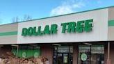 Dollar Tree debuts in Wellsville. What to know about new store location