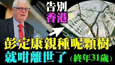 香港公務員被逼陽奉陰違 參加大陸「愛國」洗腦課(視頻) - 時政評析 -