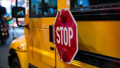 Driver charged after crashing into Davidson Co. school bus