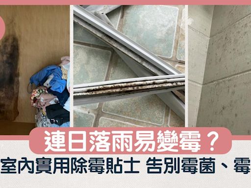 潮濕｜連日落雨易變霉？ 5個室內除霉實用貼士 告別霉菌、霉味！ | am730