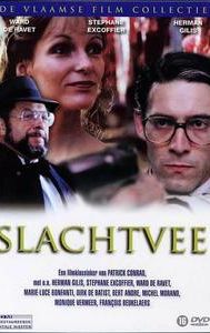 Slachtvee